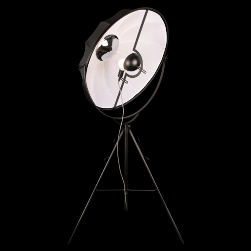 10301/L Торшер LOFT IT Studio фото 5