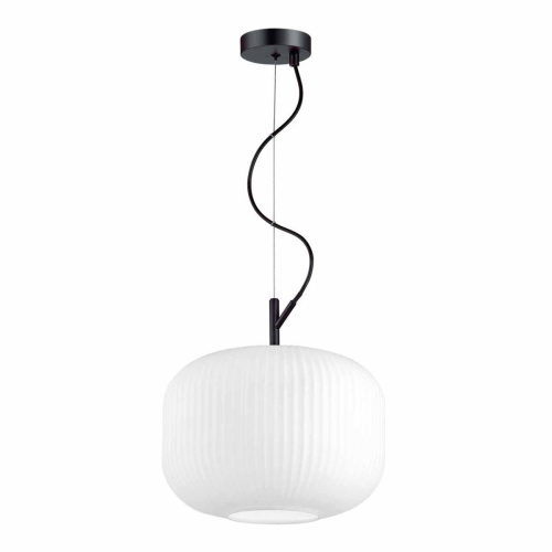 Подвесной светильник Odeon Light Pendant Roofi 4754/1 фото 4