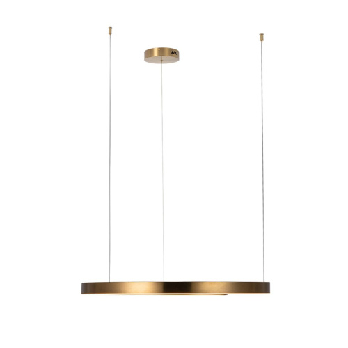 10013L Подвесной светильник LOFT IT Ring фото 2 10013L Подвесной светильник LOFT IT Ring фото 2