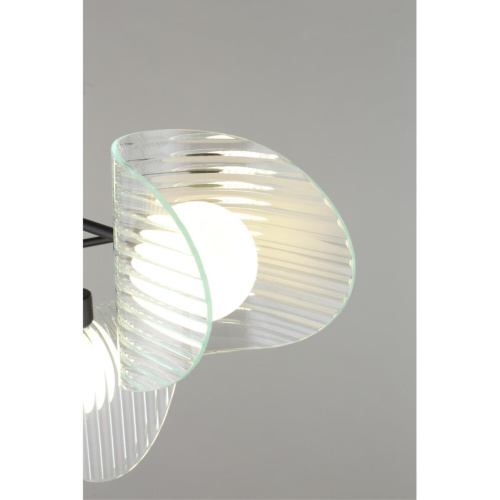 Люстра потолочная OML-52407-06 фото 7