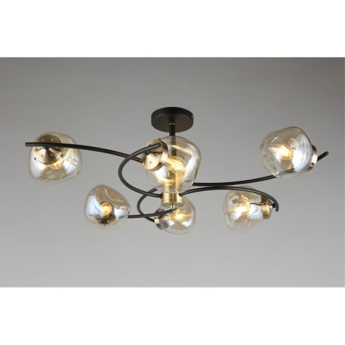 Люстра потолочная OML-95307-06 фото 9