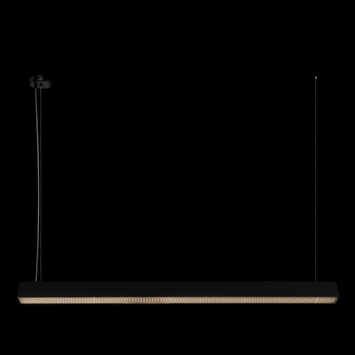 10318/C Black Подвесной светильник LOFT IT Vim фото 3 10318/C Black Подвесной светильник LOFT IT Vim фото 3