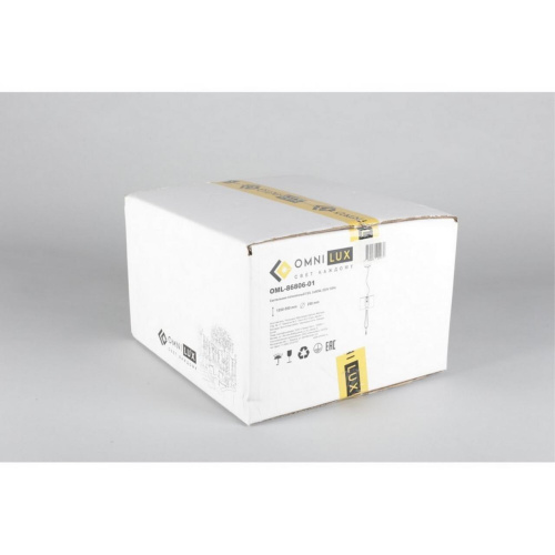 Светильник подвесной OML-86806-01 фото 2