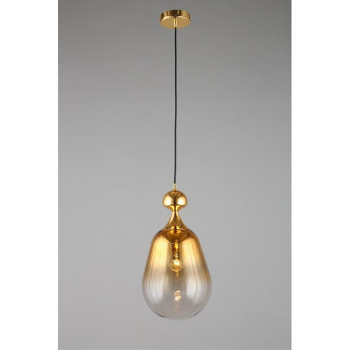 Светильник подвесной OML-99206-01 фото 4