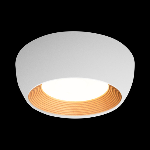 10255/350 White Потолочный светильник LOFT IT Folk фото 3 10255/350 White Потолочный светильник LOFT IT Folk фото 3