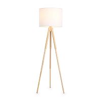 Напольный светильник (торшер) Freya FR5495FL-01W