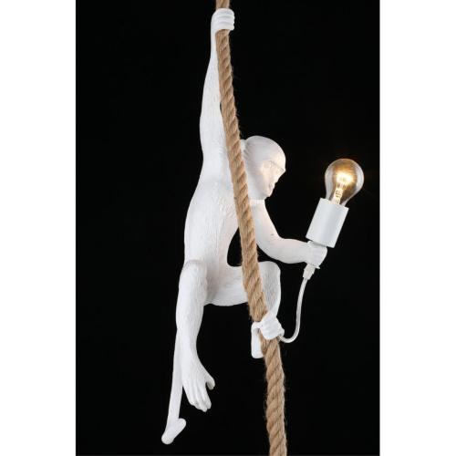 Светильник подвесной APL.309.06.01 фото 11