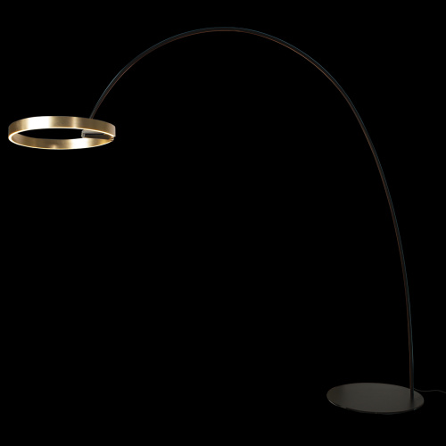 10027 Торшер LOFT IT Ring фото 3