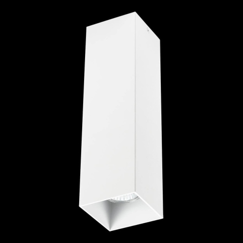 Потолочный светильник Lightstar Rullo 216596 фото 4