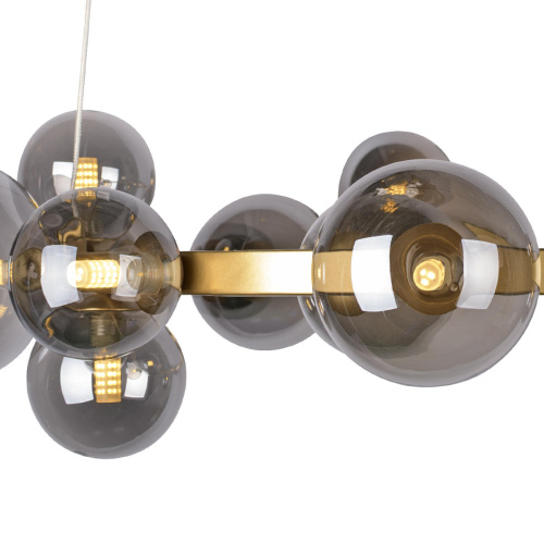 10139/850 Подвесная люстра LOFT IT Molecule фото 5 10139/850 Подвесная люстра LOFT IT Molecule фото 5