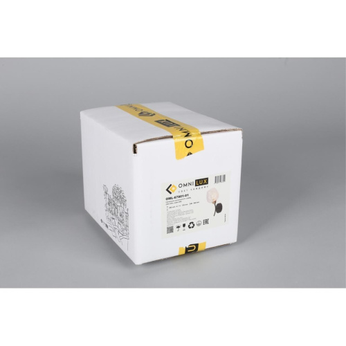 Светильник настенный (Бра) OML-67801-01 фото 9