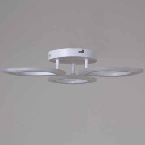 Потолочная светодиодная люстра Reluce 02301-0.3-03 WH фото 2