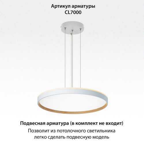 Потолочный светодиодный светильник Citilux Etalon CL750500R фото 4