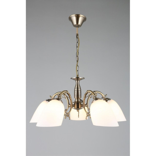 Люстра подвесная OML-56407-05 фото 4 Люстра подвесная OML-56407-05 фото 4