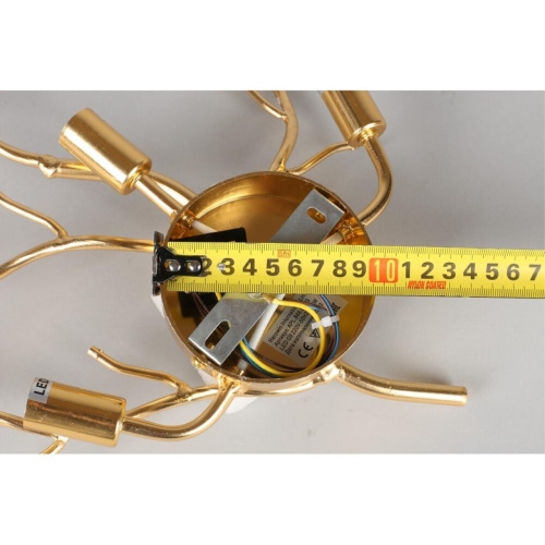 Светильник настенный (Бра) APL.848.01.03 фото 9