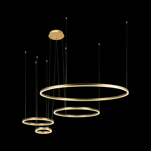 10017/4S Подвесной светильник LOFT IT Ring фото 4 10017/4S Подвесной светильник LOFT IT Ring фото 4