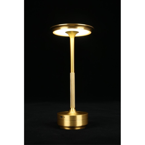 Настольная лампа APL.064.04.05 фото 9