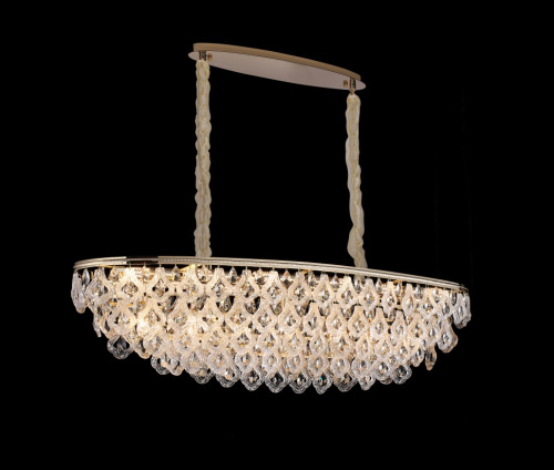 Люстра подвесная Dignita FL1091-19P