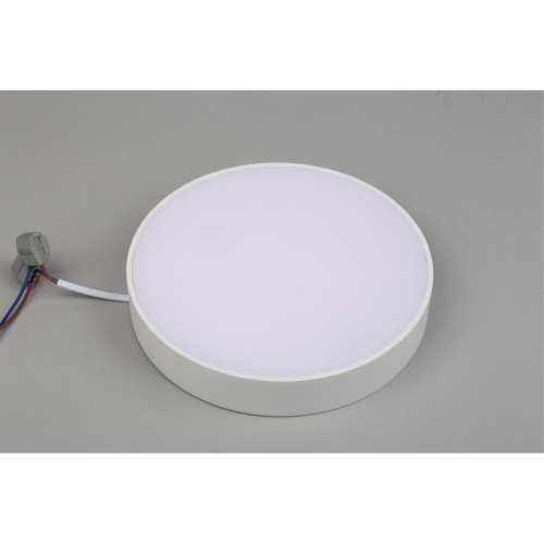 Светильник настенно-потолочный APL.0113.09.24 фото 5