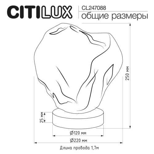 Настольная лампа Citilux Rocka CL247088 фото 4