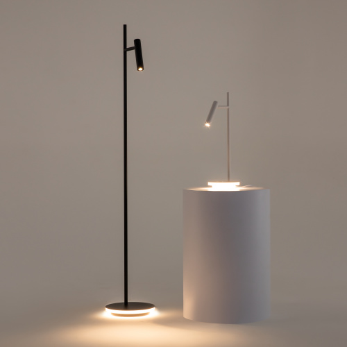 Напольный светильник (торшер) Maytoni Z010FL-L8B3K фото 10