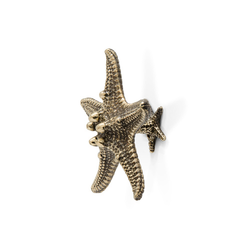 Ручка-кнопка Linckia Polished Brass фото 2