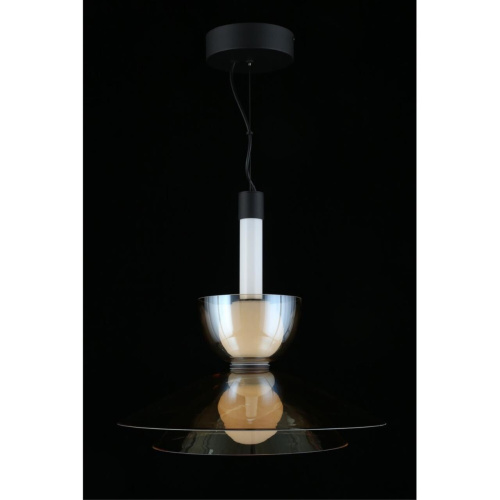 Светильник подвесной APL.772.06.12 фото 13