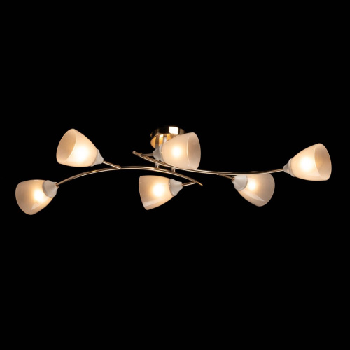 Люстра De City Восторг 242018006 фото 5