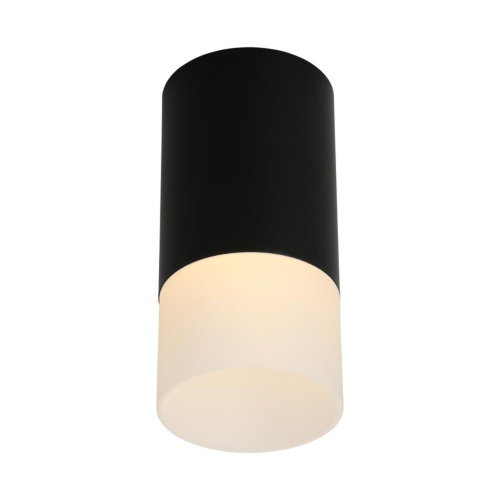 Светильник встраиваемый-накладной OML-100619-01