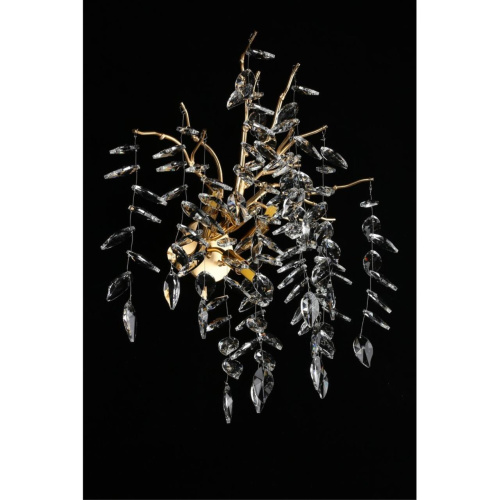 Светильник настенный (Бра) APL.847.01.03 фото 11