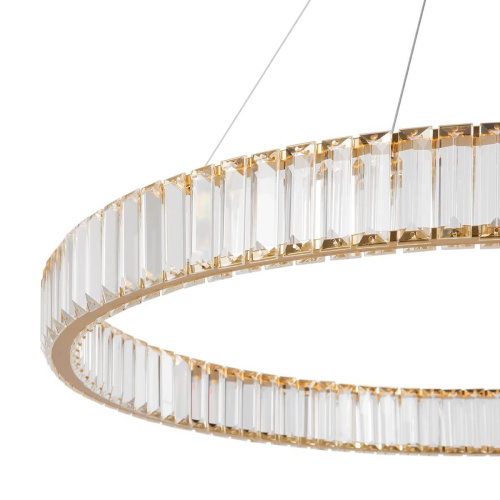 Подвесной светодиодный светильник Freya Tier FR5257PL-L32G фото 5