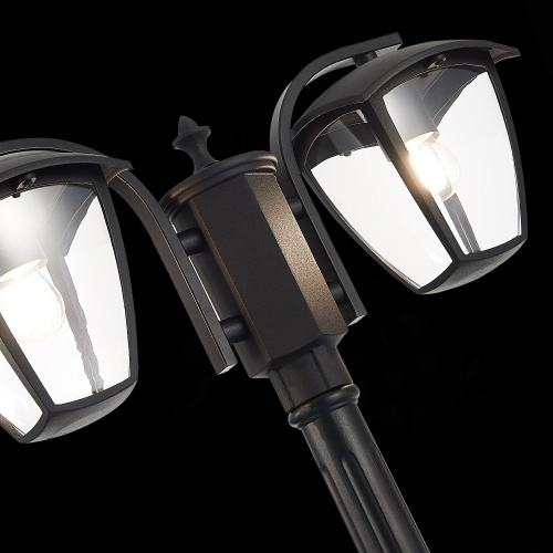 SL081.405.02 Светильник уличный наземный ST-Luce Черный/Черный, Прозрачный E27 2*40W SIVINO фото 13