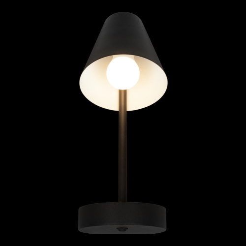 10216/1W Black Настенный светильник LOFT IT Shelf фото 2