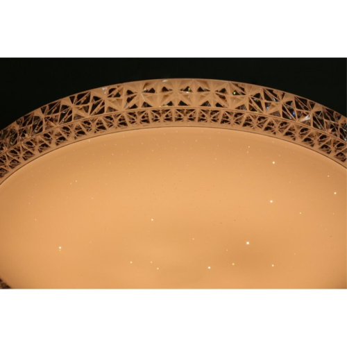 Люстра потолочная OML-47707-30 фото 5