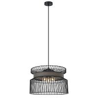 Подвесная люстра Favourite Korb 2363-2P