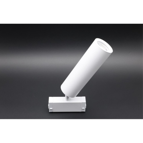 Светильник трековый APL.0210.11.01 фото 12