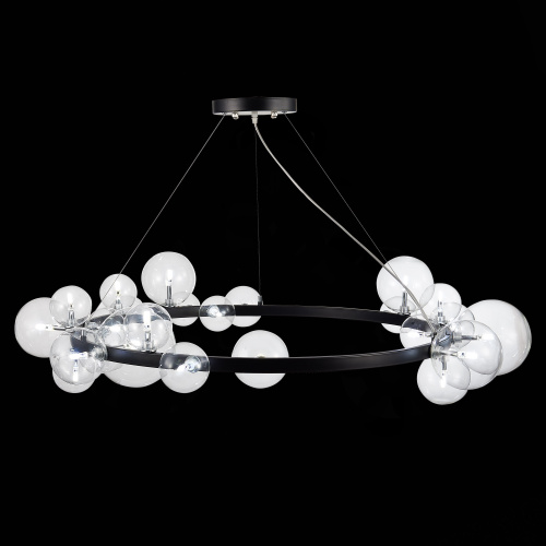 SL1165.403.24 Светильник подвесной ST-Luce Черный/Прозрачный G4 24*5W NECTON фото 12