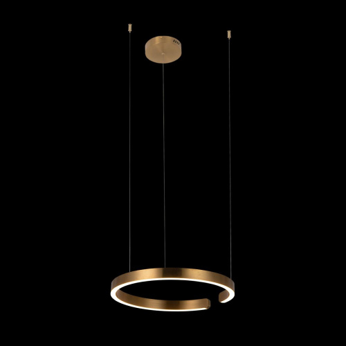 10013M Подвесной светильник LOFT IT Ring фото 3 10013M Подвесной светильник LOFT IT Ring фото 3