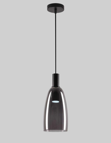 Светильник подвесной Alfa Light F2824-09