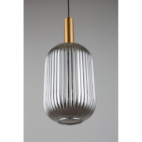 Светильник подвесной OML-99506-01 фото 5 Светильник подвесной OML-99506-01 фото 5