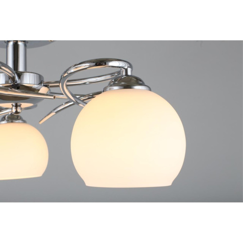 Люстра потолочная OML-25107-05 фото 6