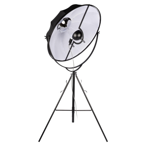 10301/L Торшер LOFT IT Studio фото 2