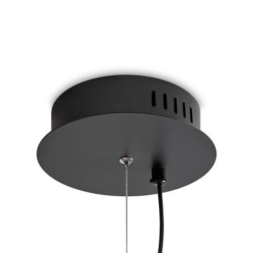 Подвесной светильник Freya FR5556PL-L22BBS фото 6