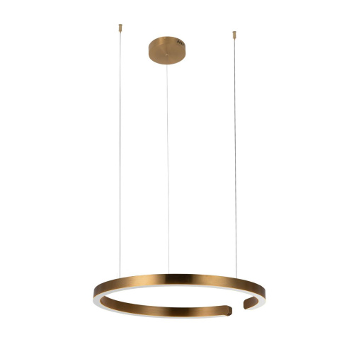 10013L Подвесной светильник LOFT IT Ring 10013L Подвесной светильник LOFT IT Ring