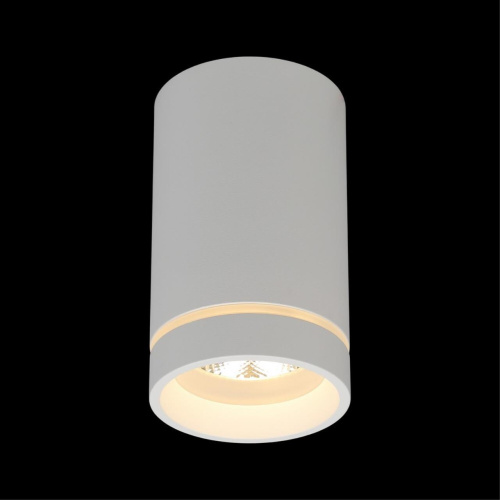 Светильник встраиваемый-накладной APL.0053.09.10 фото 2