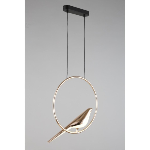 Светильник подвесной APL.822.06.10 фото 4