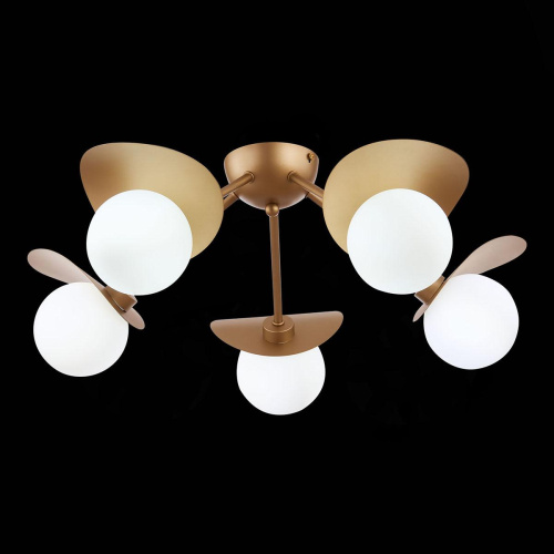 Потолочная люстра Evoluce Bolzano SLE220502-05 фото 2