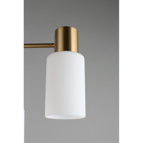 Люстра потолочная OML-69107-08 фото 7