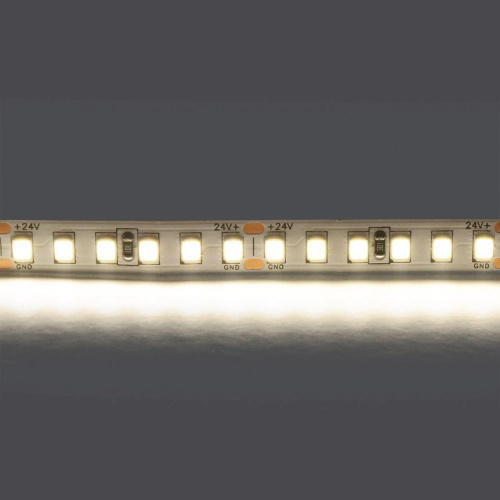 Светодиодная лента Lightstar 16W/m 168LED/m дневной белый 5M 420824 фото 2
