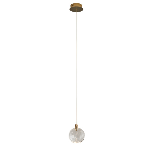 Подвесной светильник OD2440-1 gold/clear фото 2